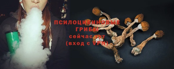 мяу мяу мука Гусев