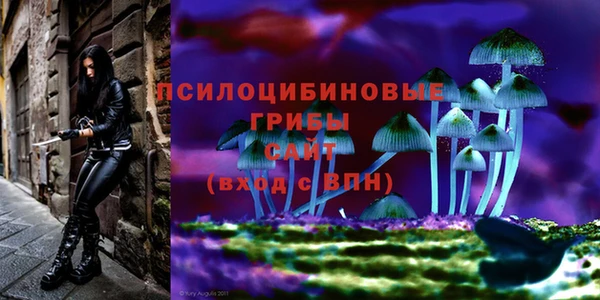 трава Гусь-Хрустальный