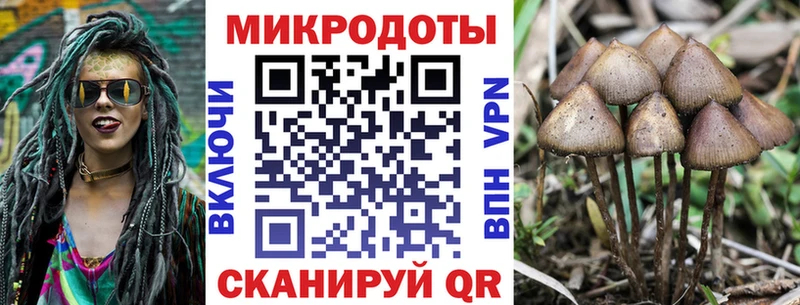 Купить  Новокузнецк  Галлюциногенные грибы Magic Shrooms 